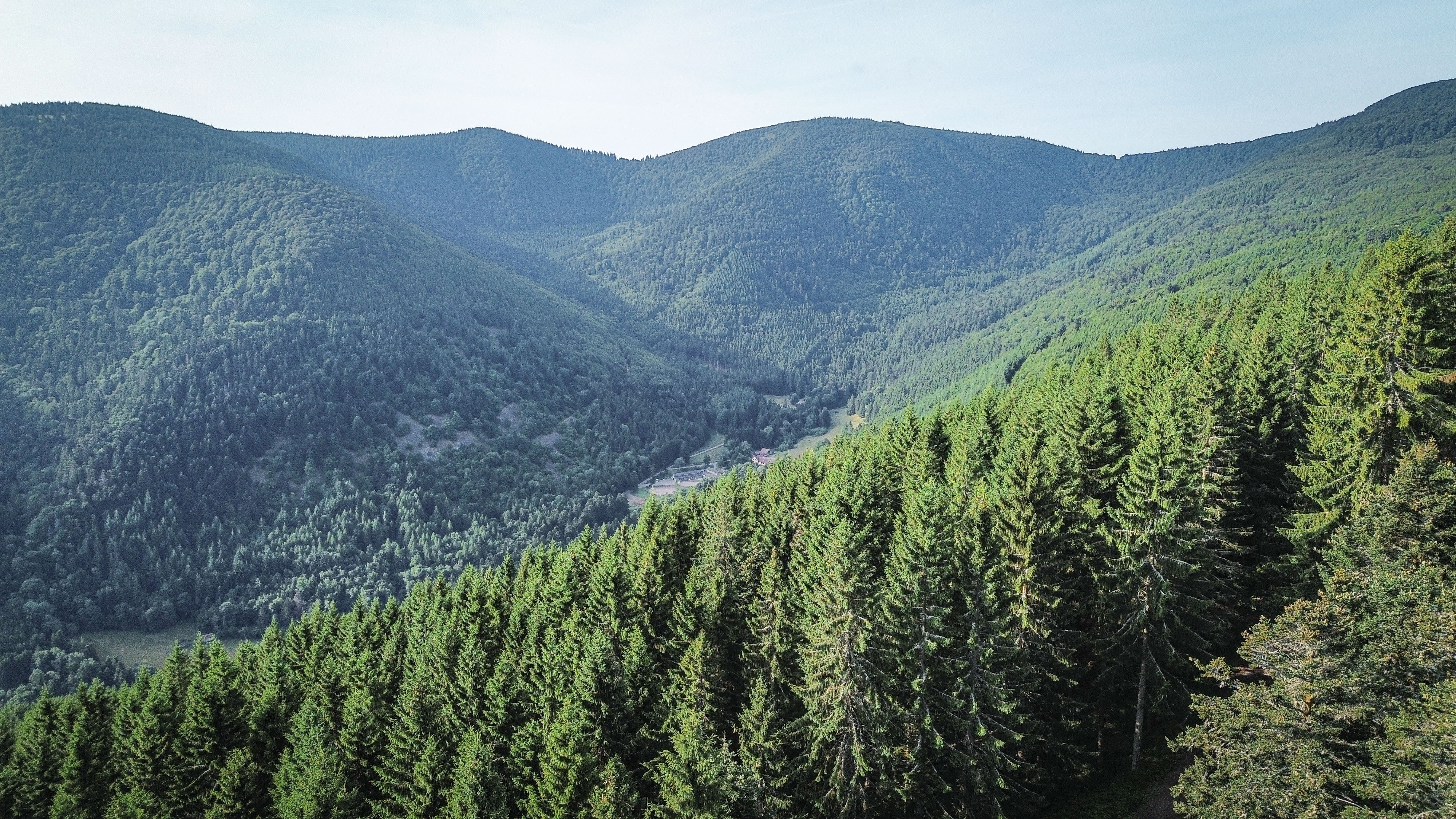 Vosges